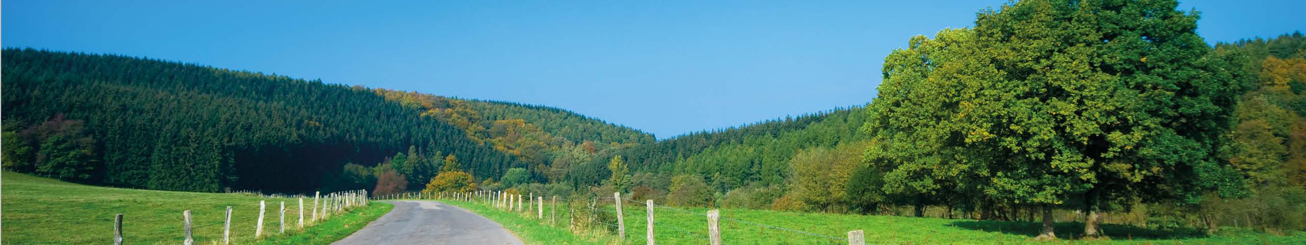 Banner Vakantiehuis Ardennen met sauna
